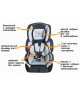 Автокресло Martin noir BAB001 PIONEER Green wood